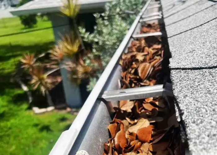 Tarrington gutter cleaning home page